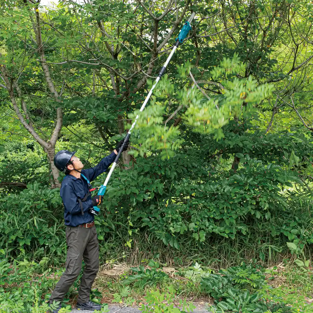 Mann schneidet mit dem Makita DUA200Z Akku-Hochentaster hohe Äste an einem Baum
