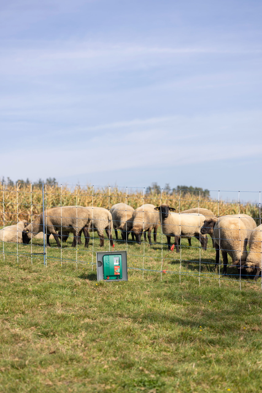 Kerbl Duo Power X 6000 smart – Effizientes und intelligentes Weidezaungerät für Landwirte und Tierhalter. Ideal für Pferde, Rinder und Schafe mit mittlerem bis starkem Bewuchs. Mit Anbindung an Cloud und App-Steuerung.