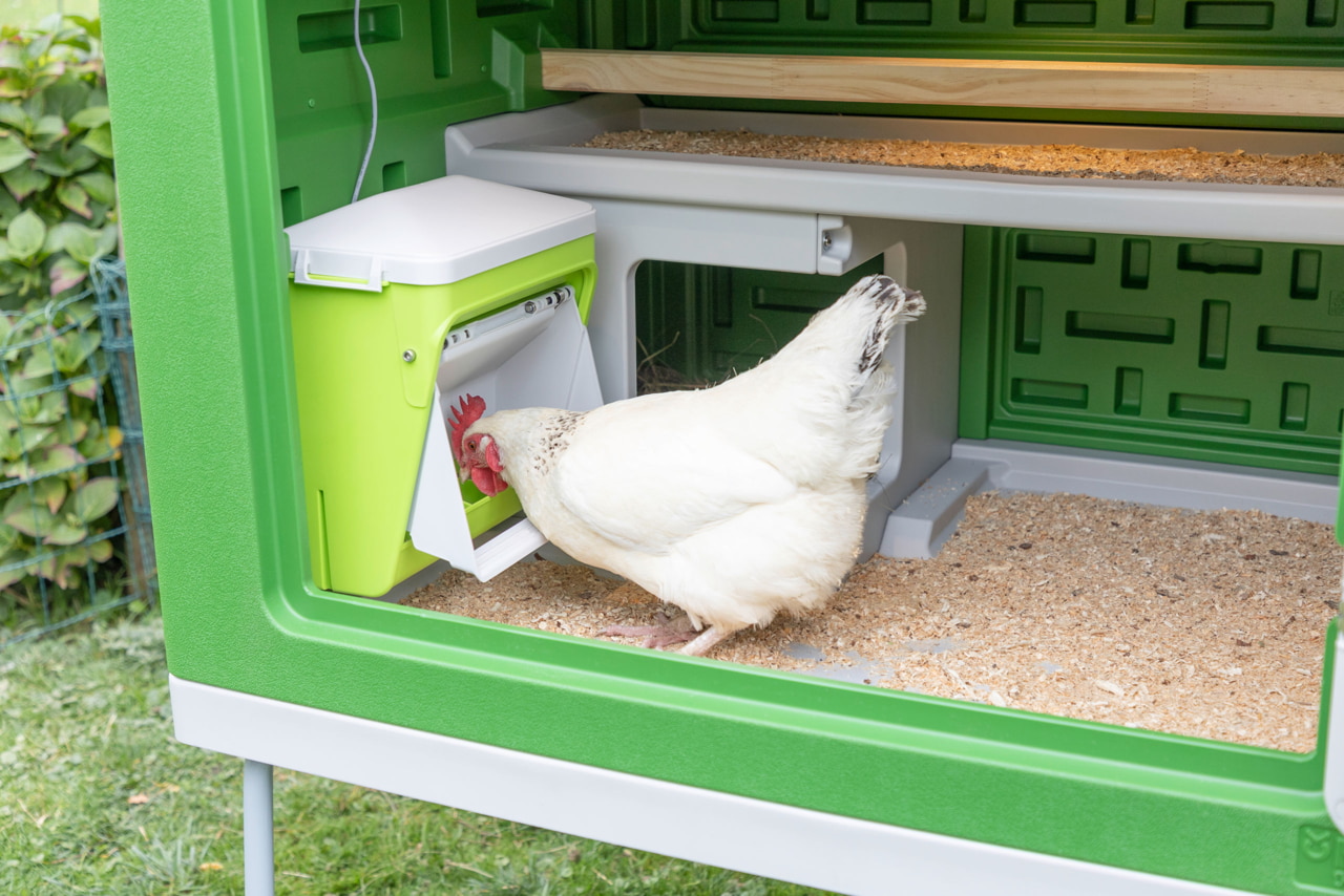 Kerbl SmartCoop Hühnerfutterautomat mit Schutzklappe Kerbl SmartCoop Hühnerfutterautomat mit Schutzklappe