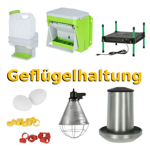 Zubehör für die Geflügelhaltung und Kükenaufzucht: Futterautomat, Hühnertränke, Wärmeplatte und weiteres Stallzubehör.